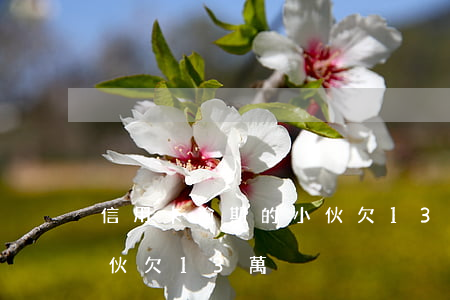 信用卡逾期的小伙欠13萬 信用卡逾期的小伙欠13萬