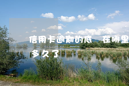 信用卡逾期的底線在哪里 你們的信用卡逾期多久了