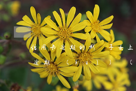信用卡逾期的影響子女上學(xué)嗎-逾期會(huì)對(duì)子女上學(xué)有影響嗎