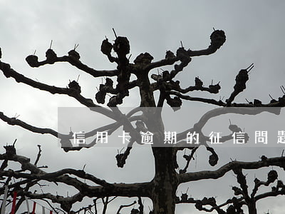 信用卡逾期的征信問題5年后就可以消失嗎
