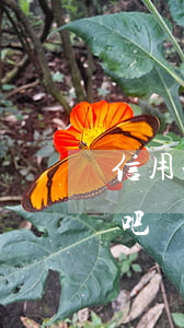 信用卡逾期的很多嗎(信用卡逾期的很多嗎貼吧)