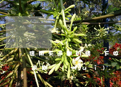 信用卡逾期的情況下收到掛號(hào)信 逾期會(huì)發(fā)掛號(hào)信嗎