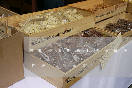 信用卡逾期的手機號被停嗎(銀行卡因逾期被停用了怎么辦)