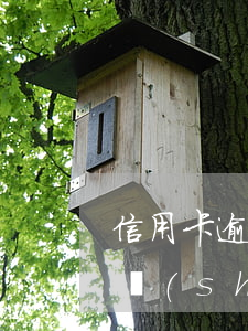 信用卡逾期的數(shù)量(信用卡逾期的數(shù)量怎么算)
