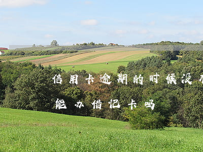 信用卡逾期的时候没有借呗(欠信用卡没还还能办借记卡吗)