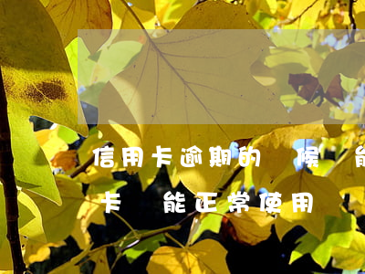 信用卡逾期的時候還能用嗎(貸款逾期了信用卡還能正常使用嗎)