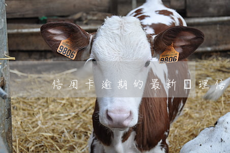 信用卡逾期的最新處理(信用卡 逾期了怎么辦)