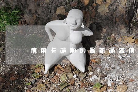 信用卡逾期的最新通告(信用卡逾期新聞)