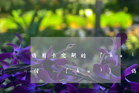 信用卡逾期的會(huì)從支付寶扣嗎 支付寶會(huì)從信用卡扣款嗎