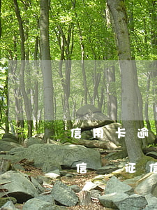 信用卡逾期的會(huì)計(jì)入征信嗎(征信有信用卡逾期)