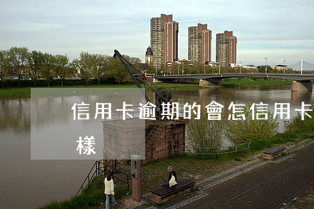 信用卡逾期的會怎(信用卡逾期的會怎么怎么樣)