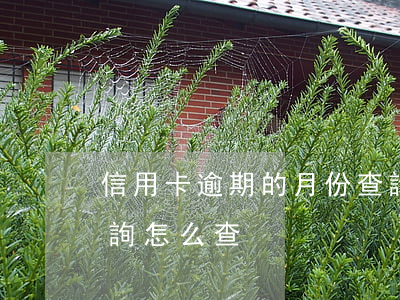 信用卡逾期的月份查詢(信用卡逾期的月份查詢怎么查)