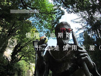 信用卡逾期的標(biāo)準(zhǔn)(什么是信用卡嚴(yán)重逾期)