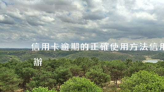 信用卡逾期的正確使用方法(信用卡逾期怎么辦)