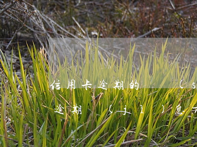 信用卡逾期的氣數(shù)怎么算(信用卡逾期計(jì)息方式)
