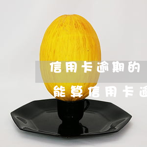 信用卡逾期的氣數(shù)怎么算(如何才能算信用卡逾期)