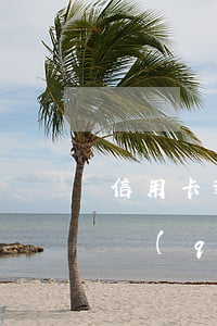 信用卡逾期的求助信息 怎樣寫信用卡逾期申請(qǐng)書