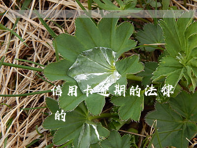 信用卡逾期的法律訴訟(有信用卡逾期被起訴的嗎)