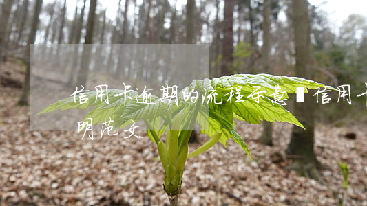 信用卡逾期的流程示意圖(信用卡逾期情況說明范文)