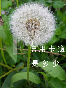 信用卡逾期的滯納金怎么算(逾期滯納金最高是多少)