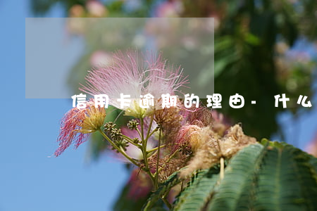 信用卡逾期的理由-什么叫信用卡严重逾期