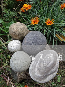 信用卡逾期的理由和原因