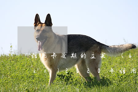 信用卡逾期的立案標(biāo)準(zhǔn)(2020年信用卡逾期立案標(biāo)準(zhǔn))