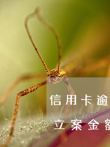 信用卡逾期的立案金額是多少(信用卡逾期的立案金額是多少倍)