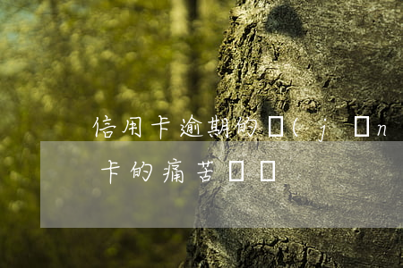 信用卡逾期的經(jīng)典語錄 還信用卡的痛苦語錄