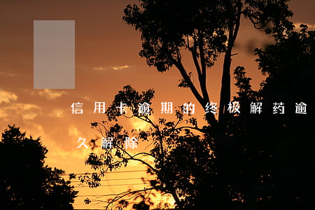 信用卡逾期的终极解药 逾期后信用卡异常多久解除