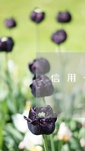 信用卡逾期的群-有沒有信用卡逾期的群