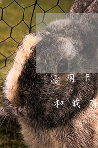 信用卡逾期的老公離婚(我老公信用卡逾期了和我有沒(méi)有關(guān)系)