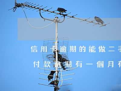 信用卡逾期的能做二手車分期嗎(二手車分期付款逾期有一個月有什么后果)