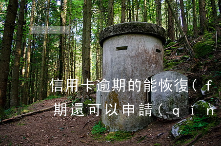 信用卡逾期的能恢復(fù)使用嗎(有過逾期還可以申請(qǐng)信用卡嗎)