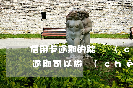 信用卡逾期的能辦車(chē)貸么(信用卡逾期可以做車(chē)貸嗎)