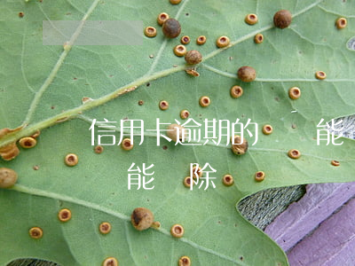 信用卡逾期的記錄能刪除嗎(信用卡逾期的記錄能刪除嗎)
