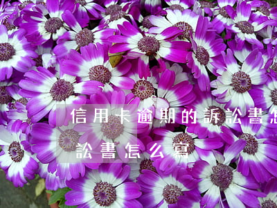 信用卡逾期的訴訟書怎么寫（信用卡逾期的訴訟書怎么寫）
