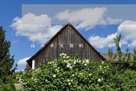 信用卡逾期的訴訟程序 欠信用卡訴訟時(shí)間多久