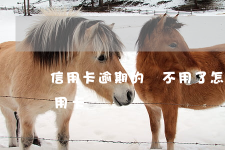 信用卡逾期的話不用了怎么辦 不看逾期的信用卡