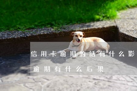 信用卡逾期的話有什么影響嗎(銀行卡信用卡逾期有什么后果)
