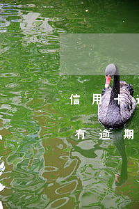 信用卡逾期的賬單怎么看(怎么看信用卡有沒有逾期記錄)