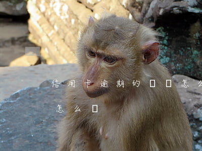 信用卡逾期的賬單怎么還(信用卡逾期的賬單怎么還)