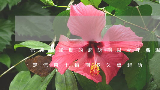 信用卡逾期的起訴期限(今年新規(guī)定信用卡逾期多久會起訴)