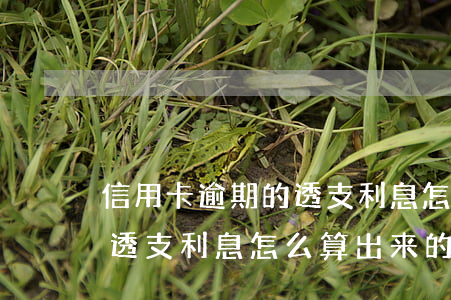 信用卡逾期的透支利息怎么算(信用卡逾期的透支利息怎么算出来的)