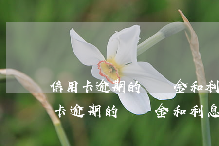 信用卡逾期的違約金和利息怎么算的-信用卡逾期的違約金和利息怎么算的呢