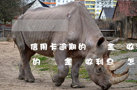 信用卡逾期的違約金還收利息嗎 信用卡逾期的違約金還收利息嗎怎么算