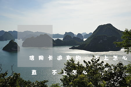 信用卡逾期的還不上怎么辦(信用卡逾期了一直還不上怎么辦)