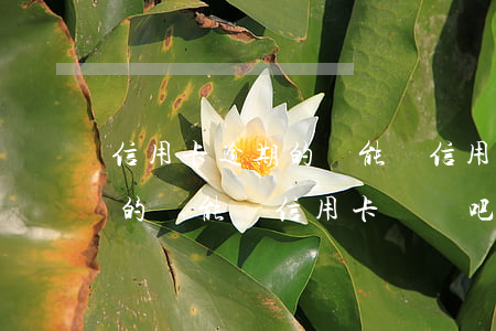 信用卡逾期的還能辦信用卡嗎-信用卡逾期的還能辦信用卡嗎貼吧