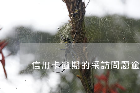 信用卡逾期的采訪問題 逾期走訪