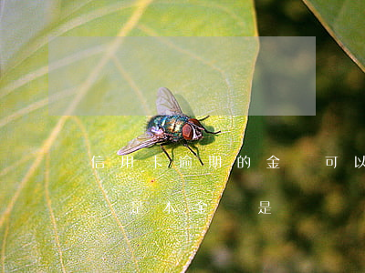 信用卡逾期的金額可以超過本金嗎 信用卡5萬是本金還是連帶違約金逾期半年會坐牢嗎